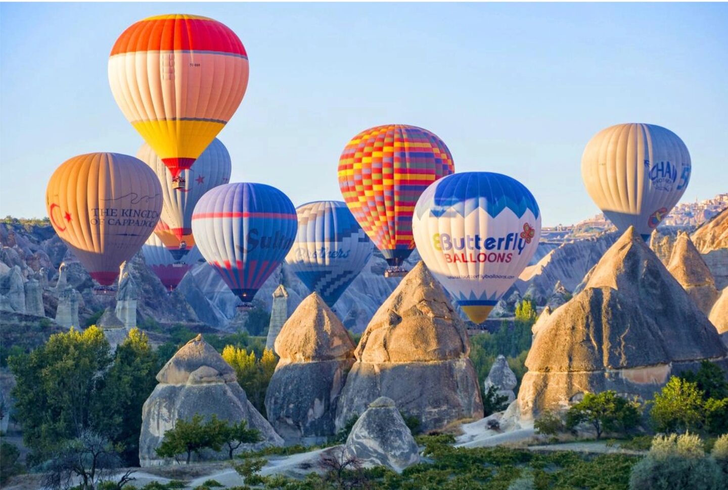 土耳其基金移民