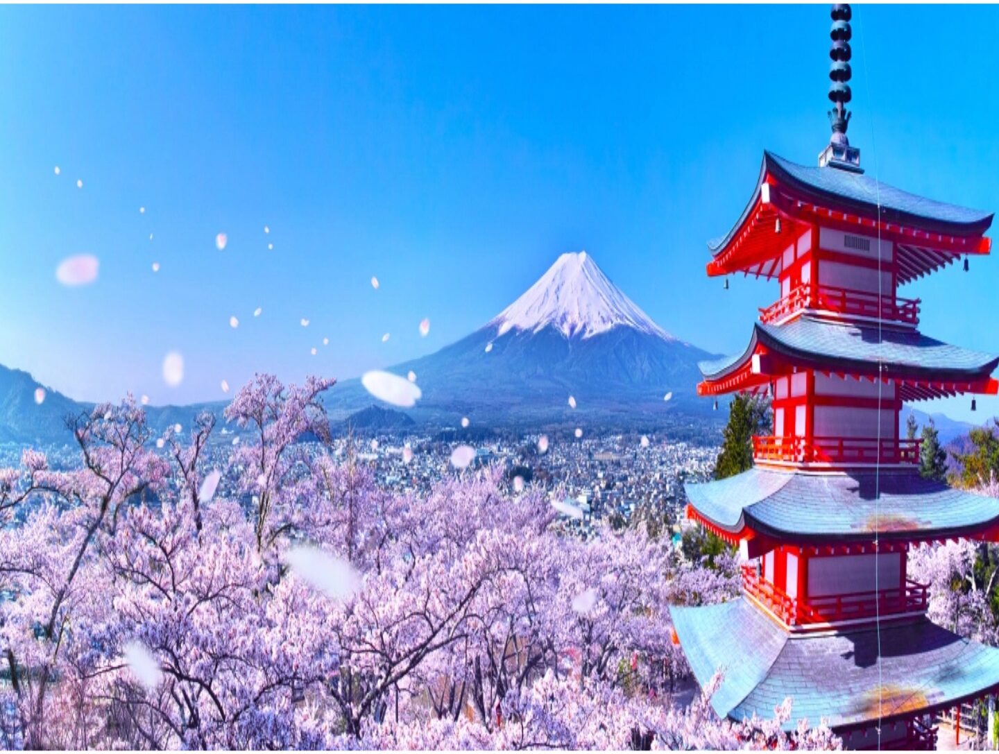 日本经营管理签证